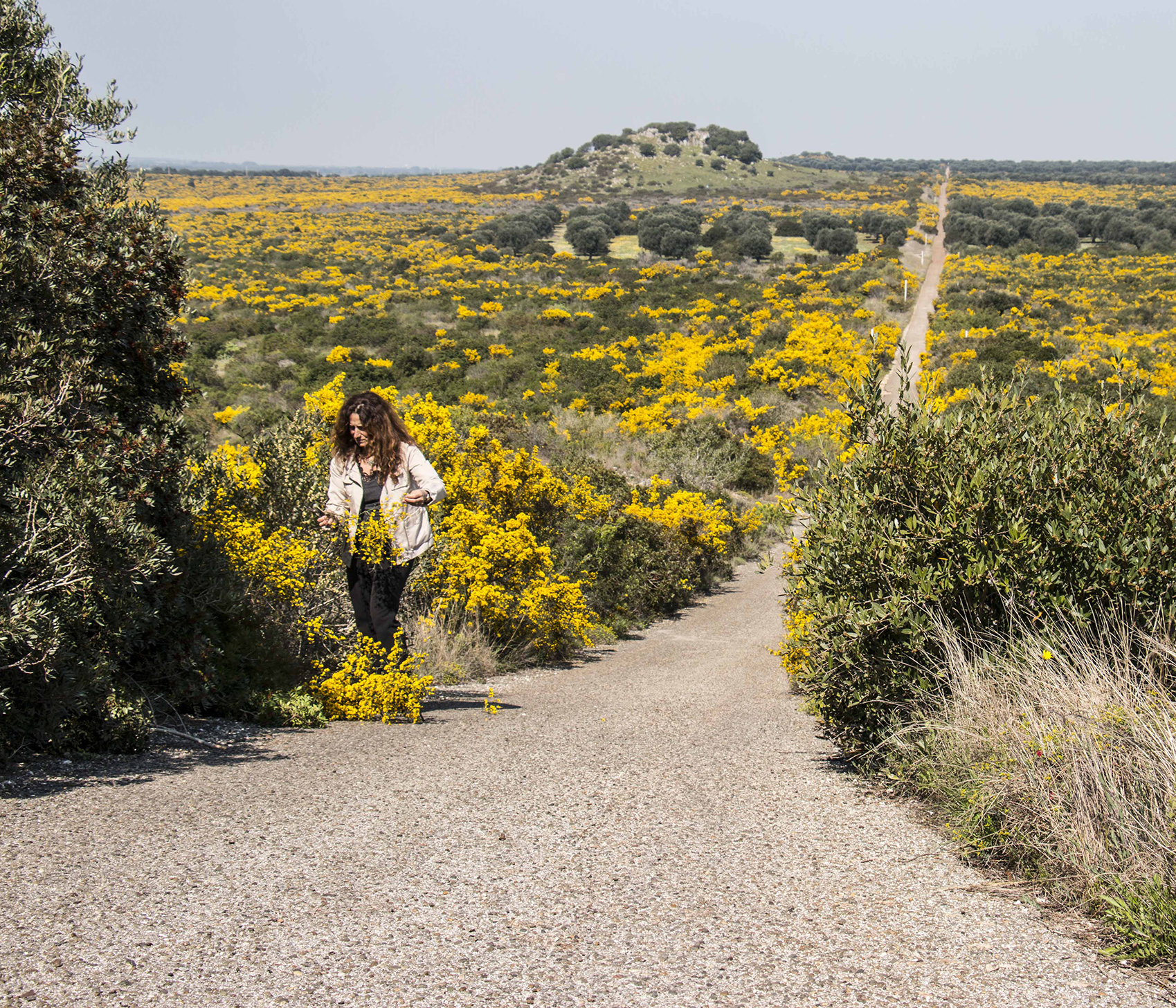 Masseria Potenti — photo 10